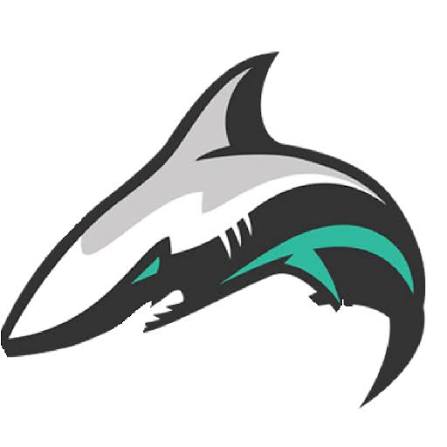 12 months shark pc support